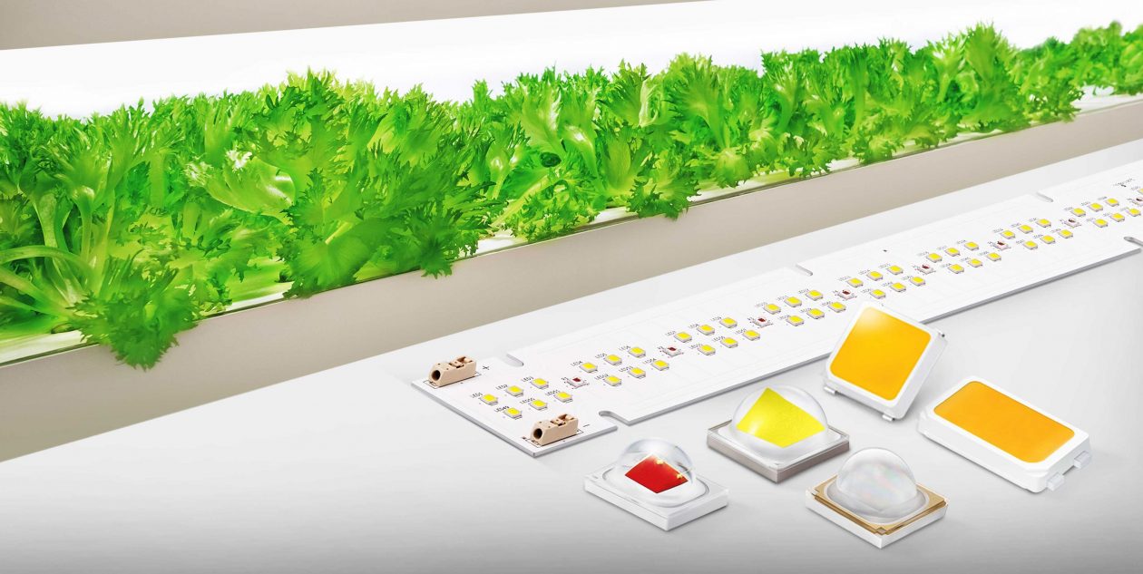 Samsung Electronics Expands Horticulture LED Lineups to Advance Greenhouse and Vertical Farming
