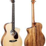 Martin Guitars