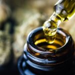 Best Tips for Maximizing Your Cannabinoid Distillation