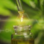 How and Why CBD THC Levels Are Tested
