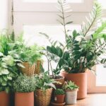 Tips for Improving Air Quality in the Winter