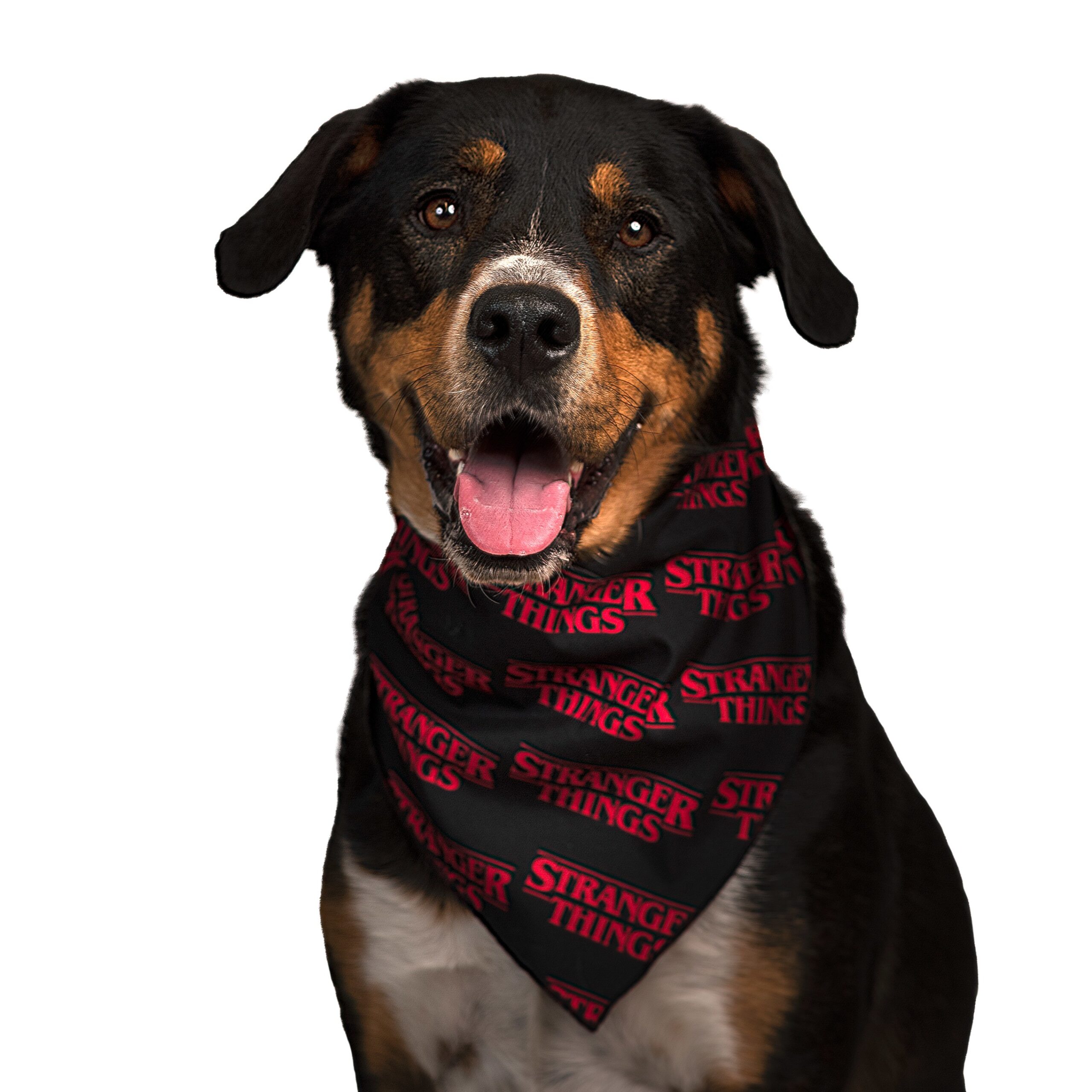 PetSmart and Netflix Bring the Upside Down to Four-legged Friends with Exclusive New Stranger Things Collection