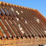 What a Rock Grizzly Is and Why You Need One