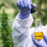 Why We Need More Cannabis Research and Testing