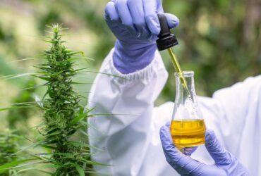 Why We Need More Cannabis Research and Testing