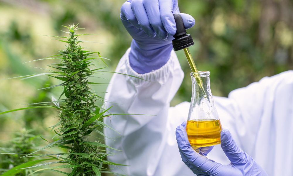 Why We Need More Cannabis Research and Testing