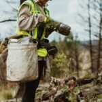 Jobs That Involve Protecting the Environment