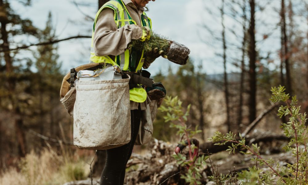 Jobs That Involve Protecting the Environment