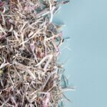 Why Shredding Is Important in the Document Life Cycle