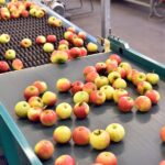 Different Sanitation Practices: Food Processing Industry