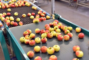 Different Sanitation Practices: Food Processing Industry