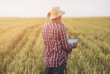 How the Internet of Things Is Changing Agriculture