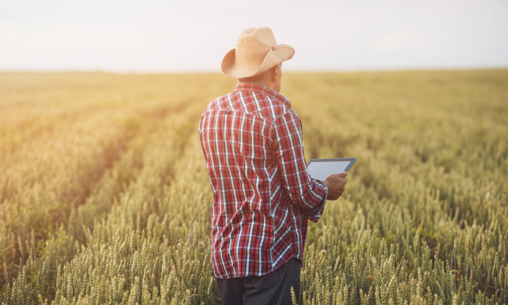 How the Internet of Things Is Changing Agriculture