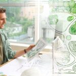 Tips for Building a Sustainable Public Park