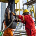 How To Have More Load Control During Your Rigging Process