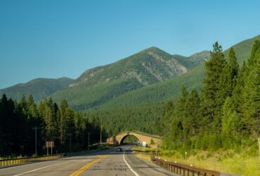State Driving: The Most Dangerous Roads in Montana