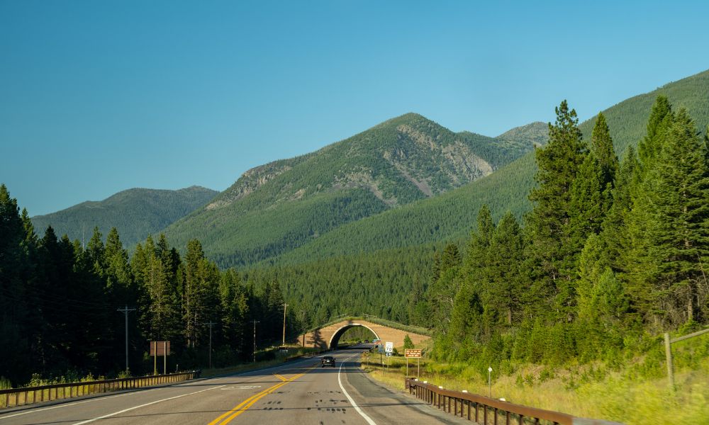 State Driving: The Most Dangerous Roads in Montana