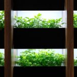 Best Ways To Control Humidity in Your Grow Room