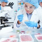 Ways To Improve Quality Control in the Food Industry