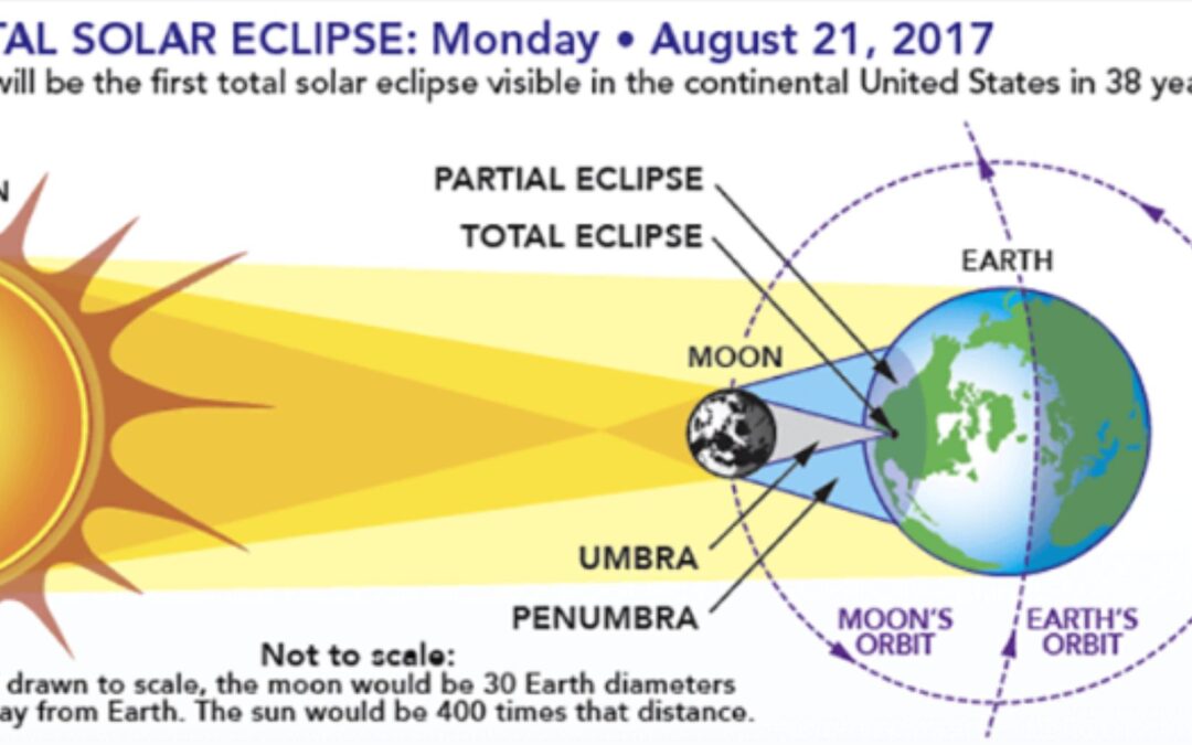 Eclipses Near and Far