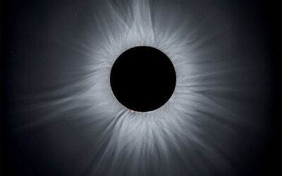 An Eclipse Megamovie Megastar