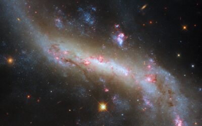 Hubble Views the Lights of a Galactic Bar