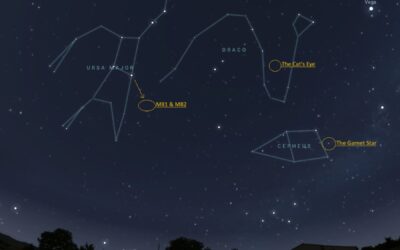 June’s Night Sky Notes: Constant Companions: Circumpolar Constellations, Part III