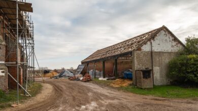 An older agricultural storage barn with new wooden rafters. Another barn restoration takes place across the path.