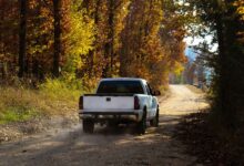 A white truck drives down a dusty dirt road surrounded by tall autumn trees on the side of the road.