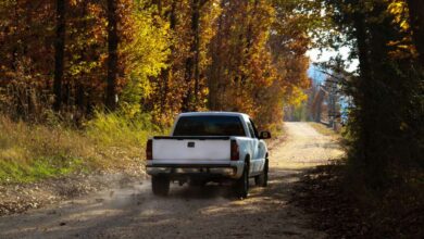 A white truck drives down a dusty dirt road surrounded by tall autumn trees on the side of the road.