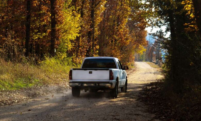 A white truck drives down a dusty dirt road surrounded by tall autumn trees on the side of the road.