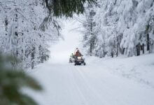 A person on a snowmobile traverses through a winter wonderland, with snowy trees and mountains in the background.