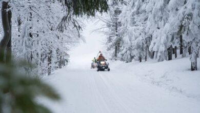 A person on a snowmobile traverses through a winter wonderland, with snowy trees and mountains in the background.