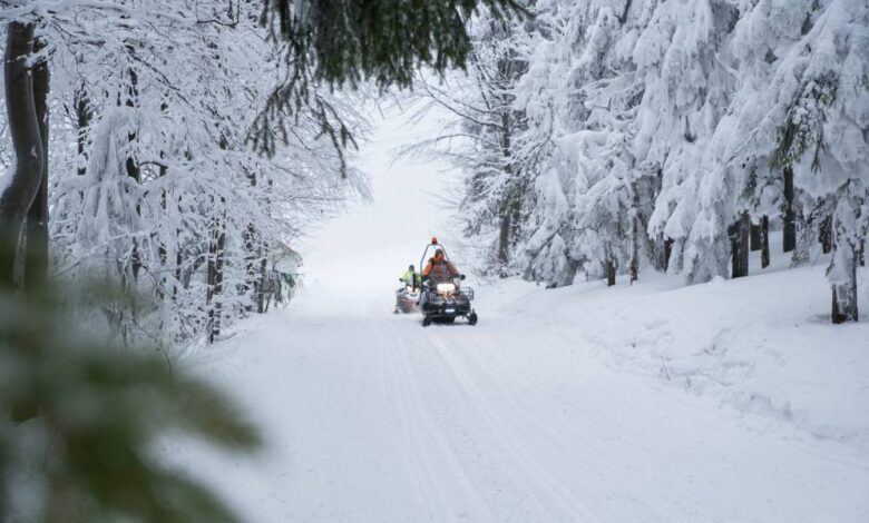 A person on a snowmobile traverses through a winter wonderland, with snowy trees and mountains in the background.