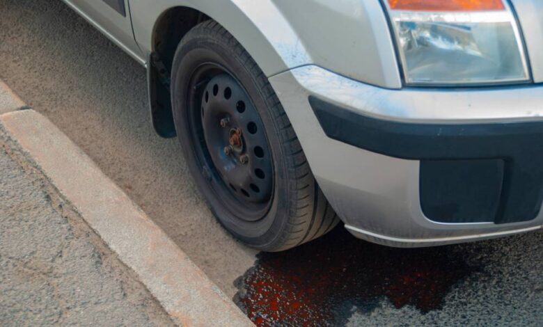 A car parked next to a sidewalk. There's red fluid leaking from underneath the car, pooling by the front tire.