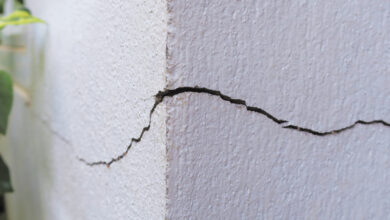 Close-up of a corner of a building that features a crack on both sides. The corner is white and has plants alongside it.