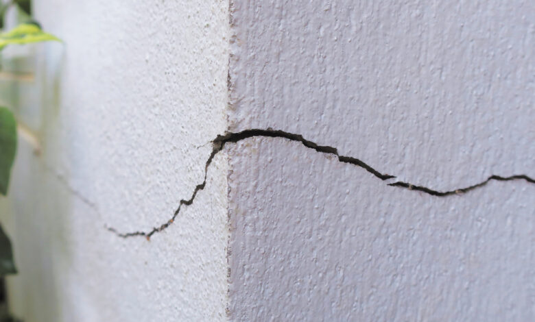 Close-up of a corner of a building that features a crack on both sides. The corner is white and has plants alongside it.