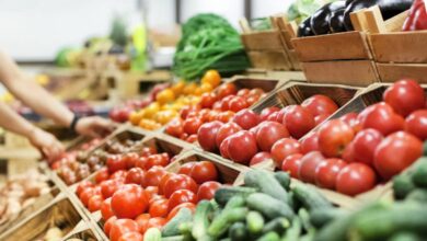 A close-up view shows a display of various fresh vegetables, including tomatoes, zucchini, and potatoes.