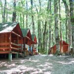 Five wood cabins, one with towels hanging to dry over their decks, sit in a L shape in a sunny forest.