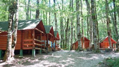 Five wood cabins, one with towels hanging to dry over their decks, sit in a L shape in a sunny forest.