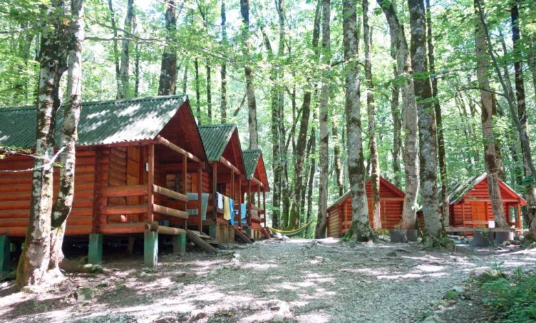 Five wood cabins, one with towels hanging to dry over their decks, sit in a L shape in a sunny forest.