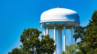 A white dome-shaped water tower against a clear blue sky. Several green trees are growing around it.