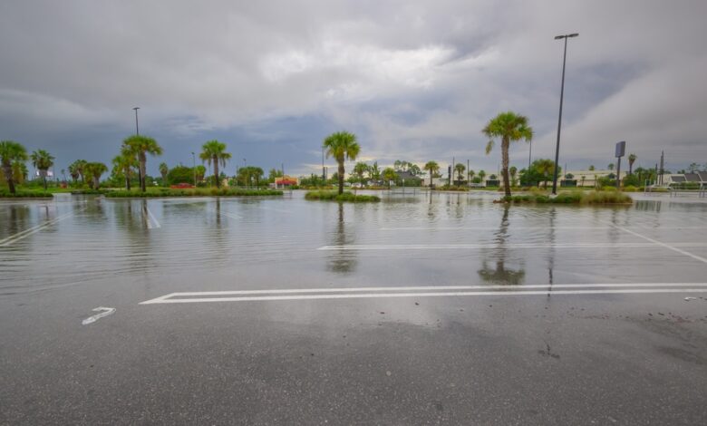 An empty parking lot with palm trees is flooded with water pooled on the asphalt under a sky with lots of clouds.