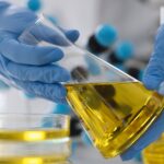 A pair of hands wearing light blue latex gloves is carefully holding an Erlenmeyer flask filled with bright yellow liquid.