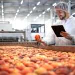 Man wearing a hairnet and a white coat, holding an apple, standing next to a large processing belt full of apples.