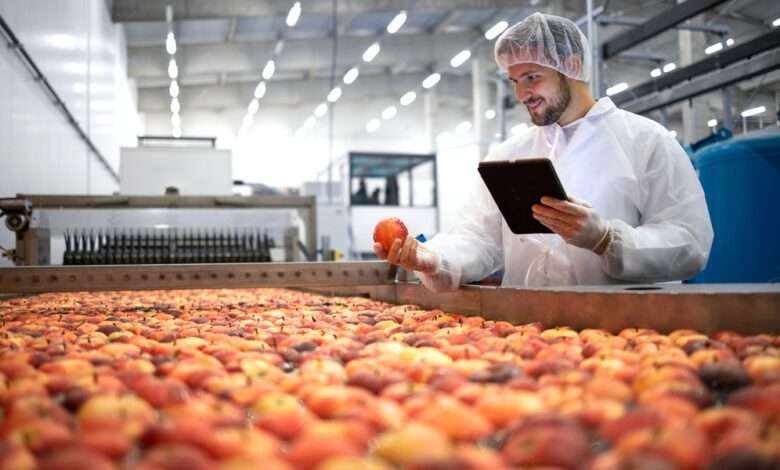 Man wearing a hairnet and a white coat, holding an apple, standing next to a large processing belt full of apples.