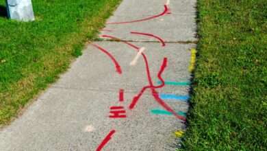 A residential sidewalk between green grass with various colored markings and lines to identify underground utilities.