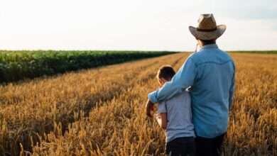 A farmer, wearing a cowboy hat, walks with his son through the vast fields of wheat on his farm. The sky is clear.