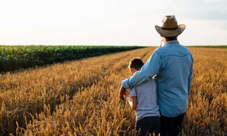 A farmer, wearing a cowboy hat, walks with his son through the vast fields of wheat on his farm. The sky is clear.