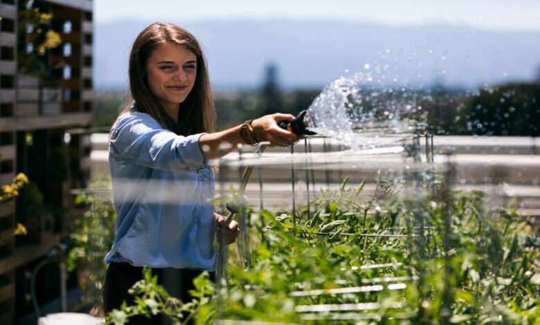 A woman in a blue shirt waters lush green plants with a hose in a sunny urban garden with buildings in the background.